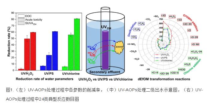 潘丙才教授課題組在污水紫外高級氧化過程中有機質分子轉化規律探究方面取得進展