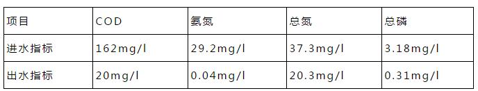 總氮提標的調試過程及總結！