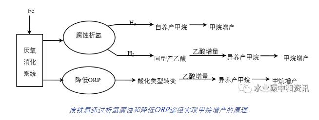 廢鐵屑強化污泥厭氧消化產甲烷可行性分析