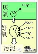 污水廠的處理流程中的工藝細節管理（十五）——生化池的運行細節6