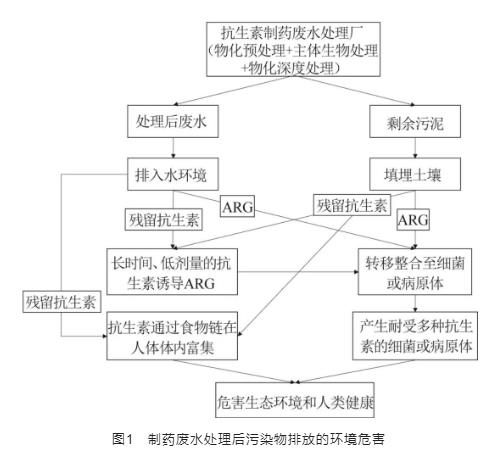 制藥廢水處理系統中抗生素抗性基因的研究進展