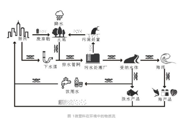 微塑料在污水處理過程中的演變與歸宿